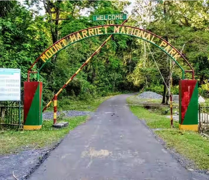 Mount Harriet 1